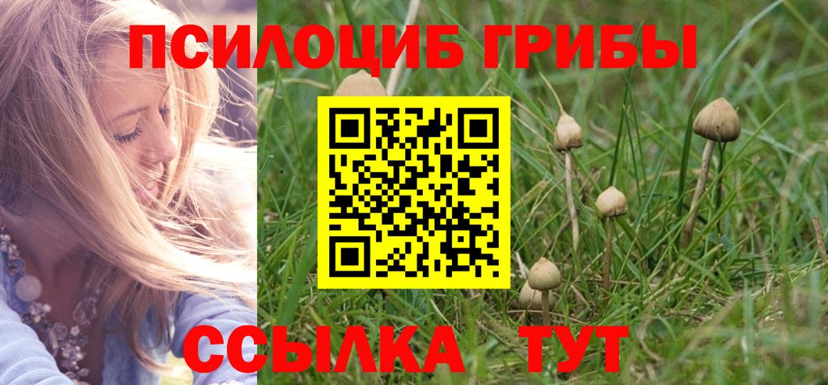 Псилоцибиновые грибы Magic Shrooms  где найти   Кропоткин  Вход с VPN 